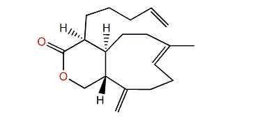 Acalycixeniolide A